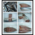 Frozen Mackerel fish